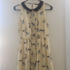 Zara dress w/ peter pan collar